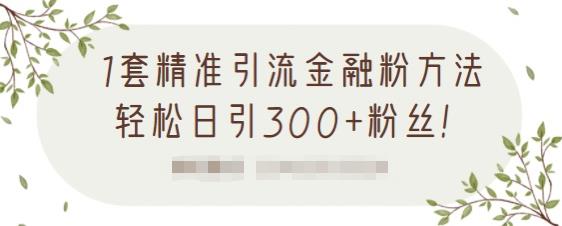 1套精准引流金融粉方法，轻松日引300 粉丝【视频课程】-搞钱帮