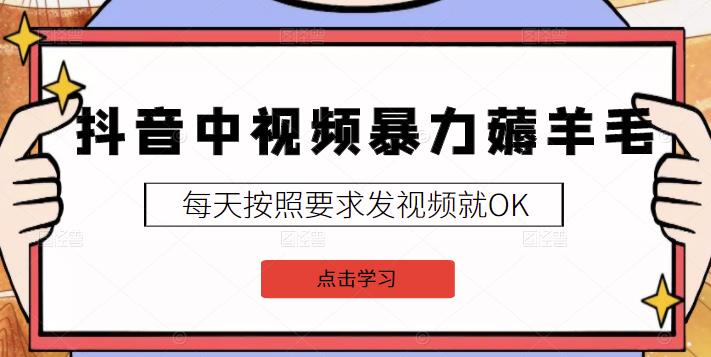 2022抖音中视频暴力薅羊毛白嫖项目：新号每天20块，老号几天几百块，可多号-搞钱帮