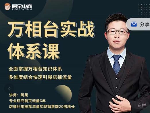 阿呆-万相台实战体系课，帮您全面掌握万相台知识体系-搞钱帮