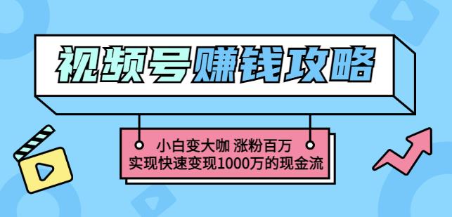 玩转微信视频号赚钱：小白变大咖涨粉百万实现快速变现1000万的现金流-搞钱帮
