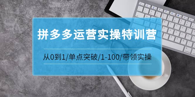 拼多多运营实操特训营：从0到1/单点突破/1-100/带领实操 价值2980元-搞钱帮
