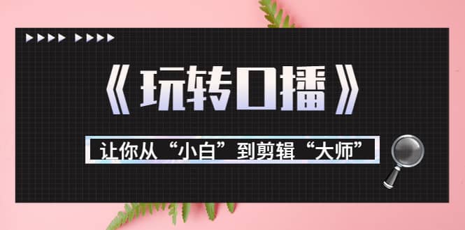 月营业额700万 大佬教您《玩转口播》让你从“小白”到剪辑“大师”-搞钱帮