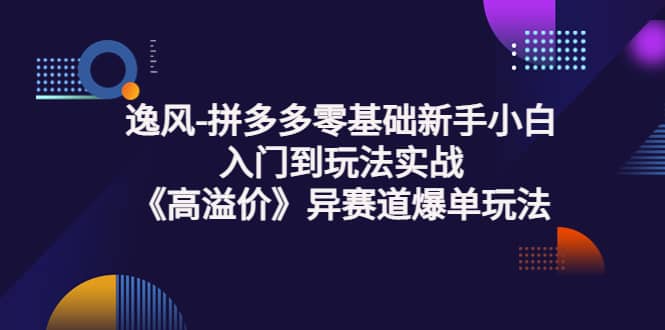 拼多多零基础新手小白入门到玩法实战《高溢价》异赛道爆单玩法实操课-搞钱帮
