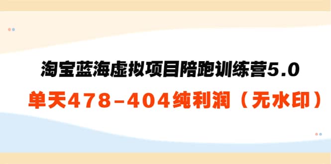 淘宝蓝海虚拟项目陪跑训练营5.0：单天478纯利润（无水印）-搞钱帮