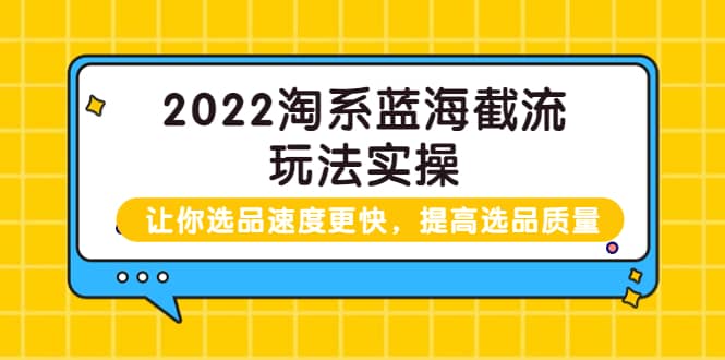 2022淘系蓝海截流玩法实操：让你选品速度更快，提高选品质量（价值599）-搞钱帮