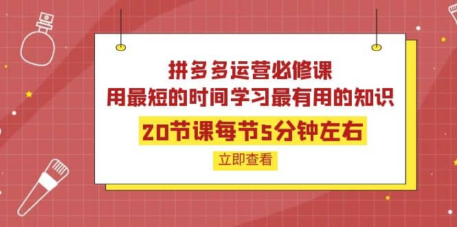 拼多多运营必修课：20节课每节5分钟左右，用最短的时间学习最有用的知识-搞钱帮