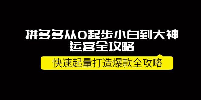 拼多多从0起步小白到大神运营全攻略-搞钱帮
