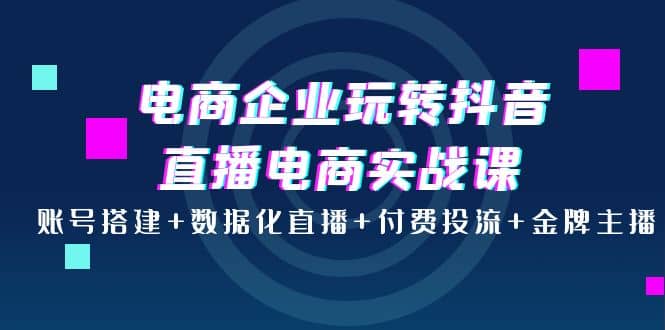 电商企业玩转抖音直播电商实战课：账号搭建 数据化直播 付费投流 金牌主播-搞钱帮