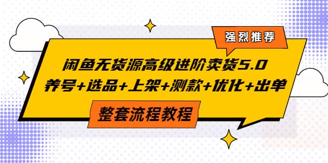 闲鱼无货源高级进阶卖货5.0，养号 选品 上架 测款 优化 出单整套流程教程-搞钱帮