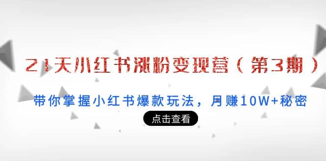 21天小红书涨粉变现营（第3期）：带你掌握小红书爆款玩法，月赚10W 秘密-搞钱帮