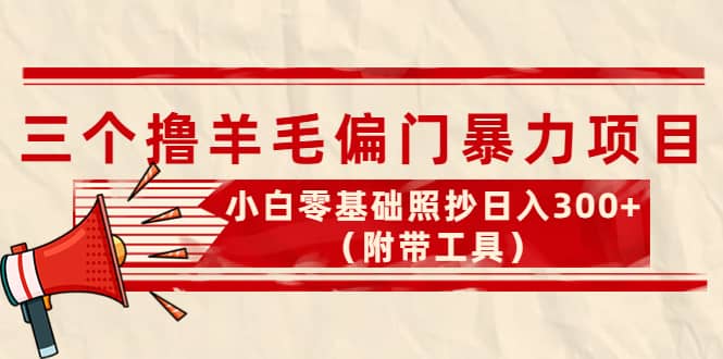 外面卖998的三个撸羊毛项目，小白零基础照抄（附带工具）-搞钱帮