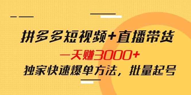 拼多多短视频 直播带货，一天赚3000 独家快速爆单方法，批量起号-搞钱帮