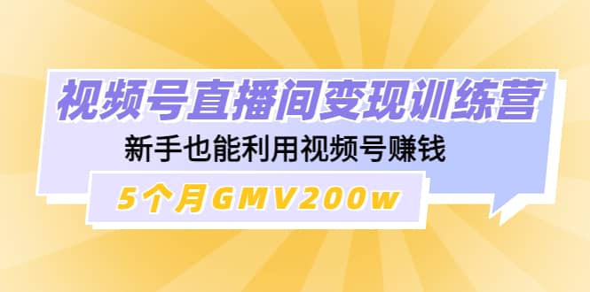 视频号直播间变现训练营-搞钱帮