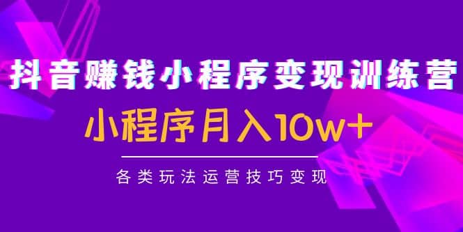 抖音小程序变现训练营：小程序各类玩法运营技巧变现-搞钱帮