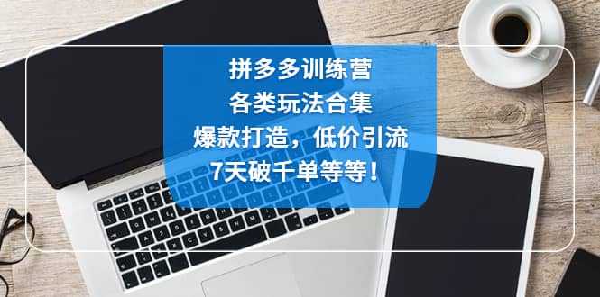 拼多多训练营：各玩法合集，爆款打造，低价引流，7天破千单等等-搞钱帮