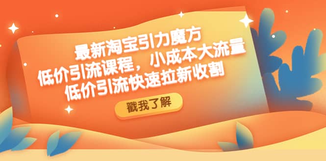 最新淘宝引力魔方低价引流实操：小成本大流量-搞钱帮