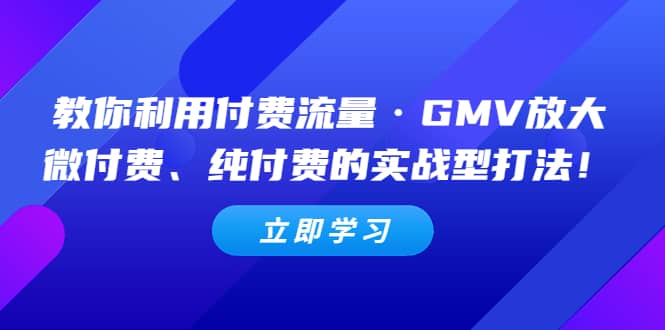 教你利用付费流量·GMV放大，微付费、纯付费的实战型打法-搞钱帮