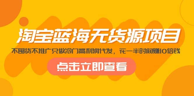 淘宝蓝海无货源项目，不囤货不推广只做冷门高利润代发-搞钱帮