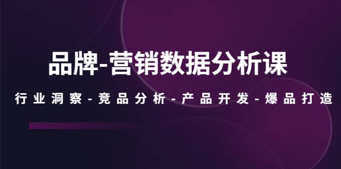 品牌-营销数据分析课，行业洞察-竞品分析-产品开发-爆品打造-搞钱帮