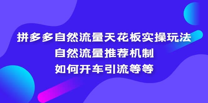 拼多多自然流量天花板实操玩法：自然流量推荐机制，如何开车引流等等-搞钱帮