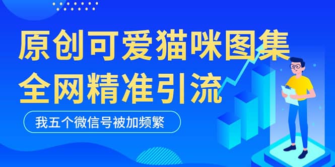 黑科技纯原创可爱猫咪图片，全网精准引流，实操5个VX号被加频繁-搞钱帮