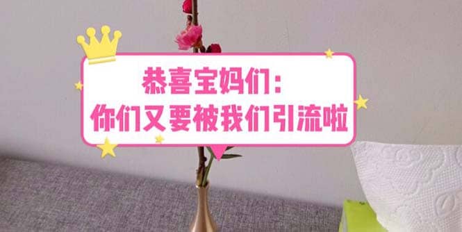 恭喜宝妈们：你们又要被我们引流了（教程 222g资料）-搞钱帮