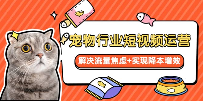 宠物/行业短视频运营 流量增长的一层窗户纸 解决流量焦虑 实现降本增效-搞钱帮