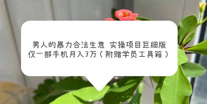 男人的暴力合法生意实操项目巨细版：仅一部手机月入3w（附赠学员工具箱）-搞钱帮