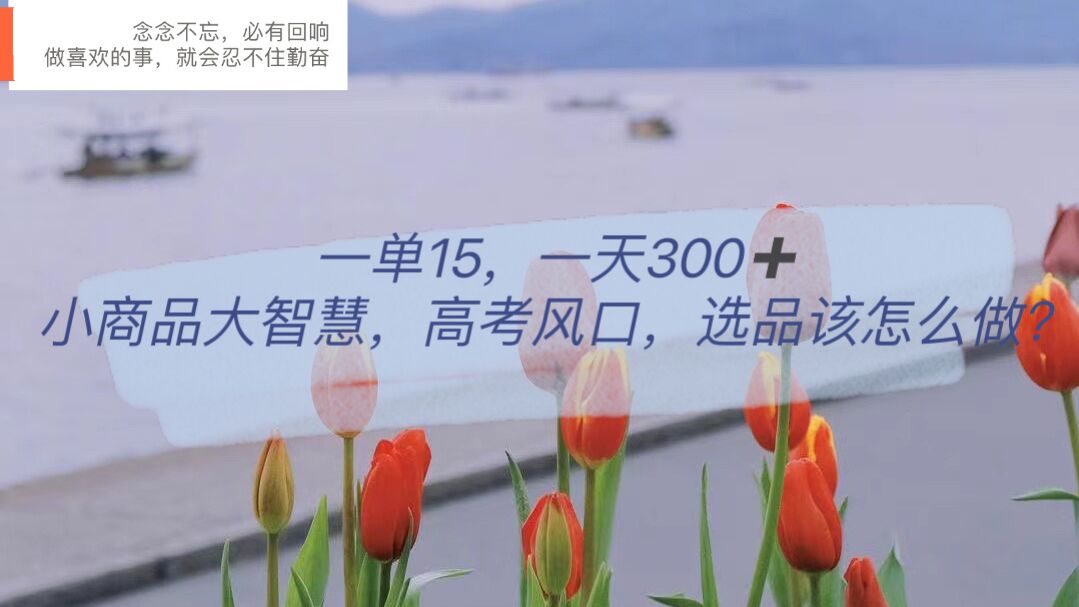 一单15，一天300 ，小商品大智慧，高考风口，选品该怎么布局-搞钱帮