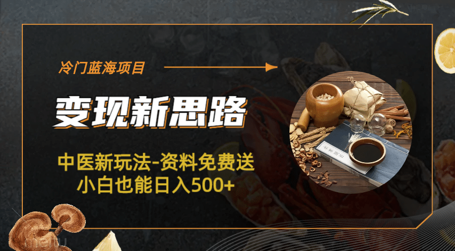 冷门蓝海项目-中医新玩法-冷门蓝海项目-中医新玩法-资料免费送小白也能日入500 500-搞钱帮
