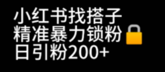 小红书找搭子暴力精准锁粉 引流日引200 精准粉-搞钱帮