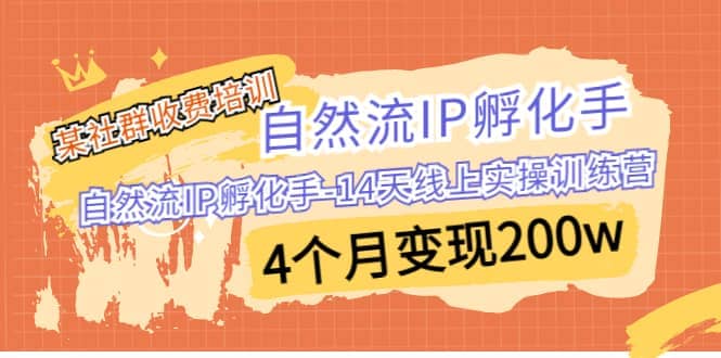 某社群收费培训：自然流IP 孵化手-14天线上实操训练营 4个月变现200w-搞钱帮