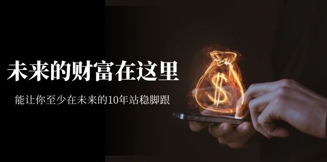 某收费文章《未来的财富在这里》能让你至少在未来的10年站稳脚跟-搞钱帮